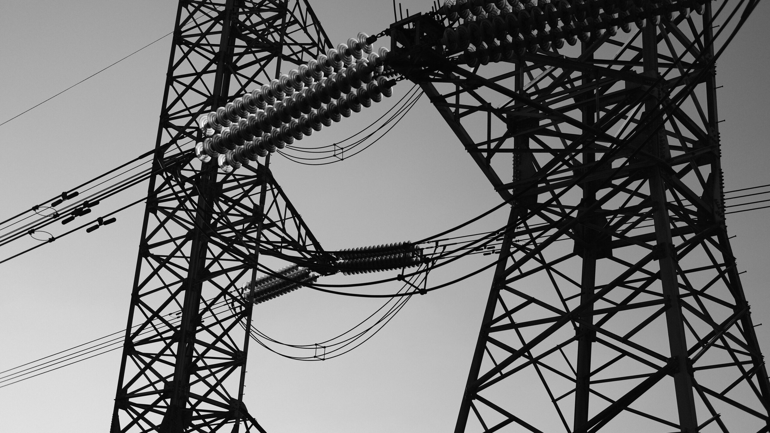 Plant Expansions: Fabrication and Construction